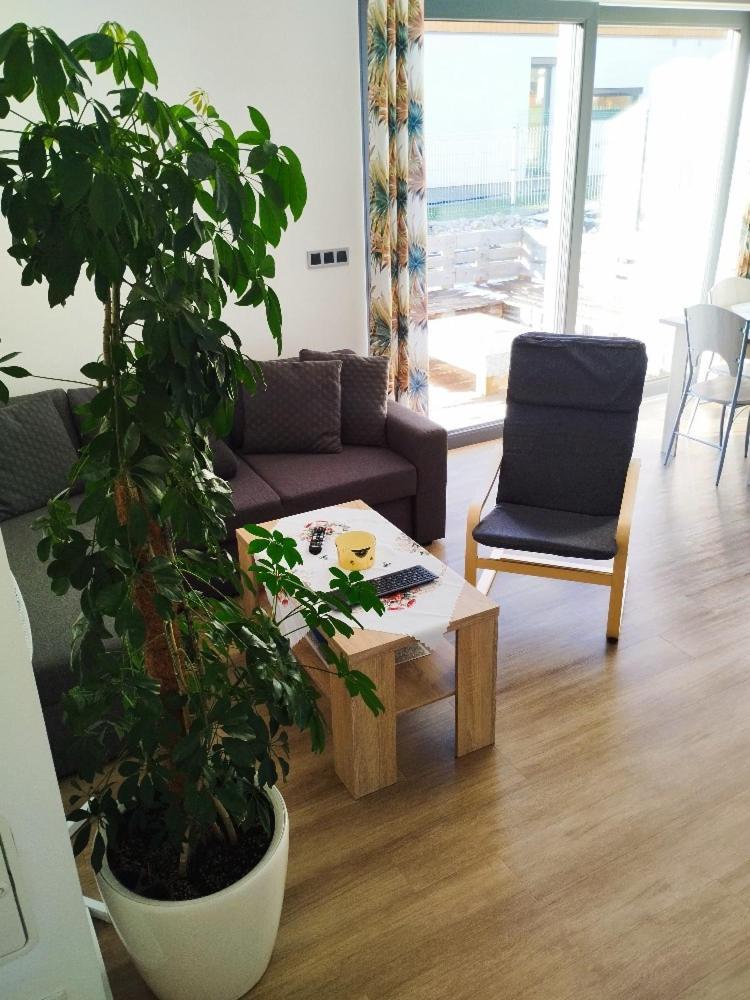Apartman Dasa Frymburk Eksteriør bilde